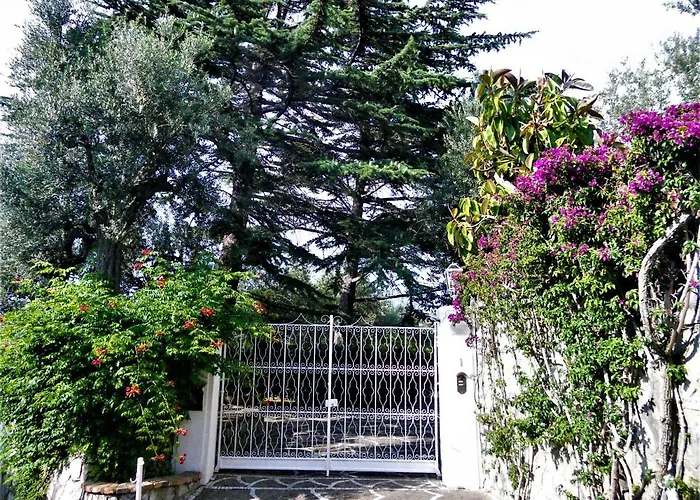 Le Olivine Διαμέρισμα *