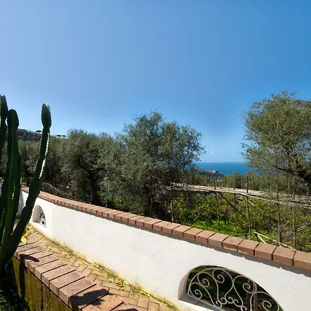 Apartamento Le Olivine *