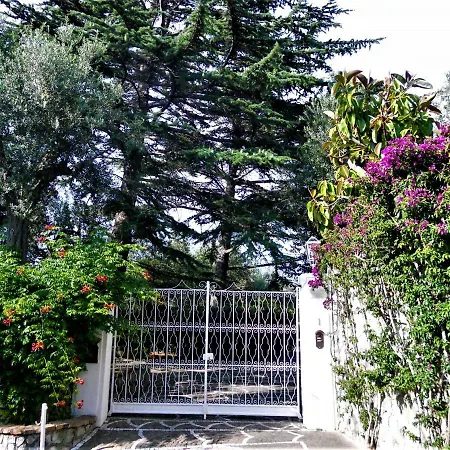 Le Olivine Apartment *