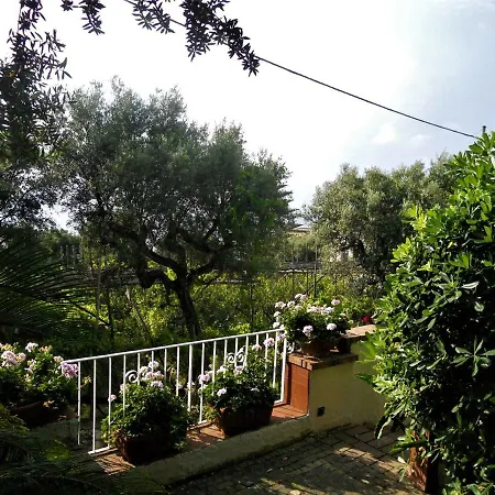 Le Olivine Apartment Sorrento