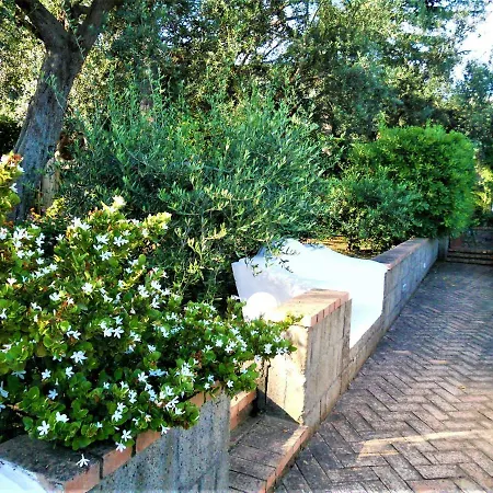 Le Olivine Sorrento