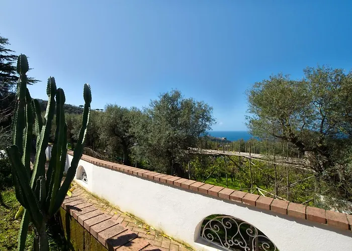 דירה Le Olivine *