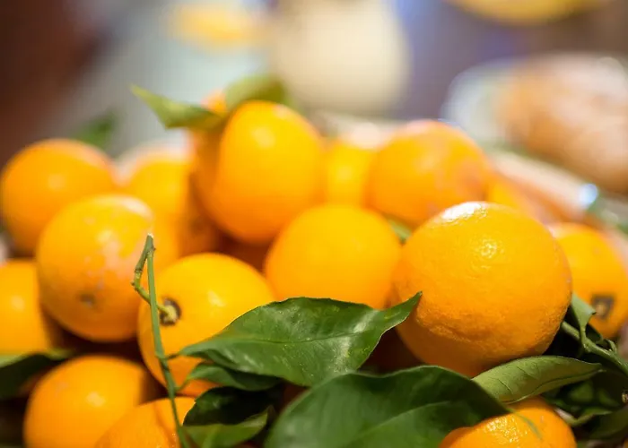 Le Olivine דירה *