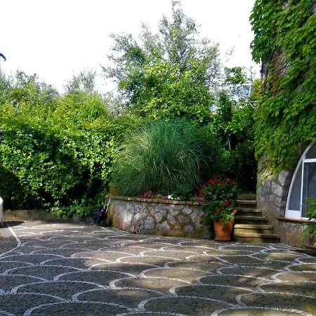 Le Olivine Διαμέρισμα Σορέντο